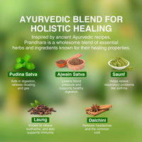 Thumbnail for Maharishi Ayurveda Prandhara Oil
