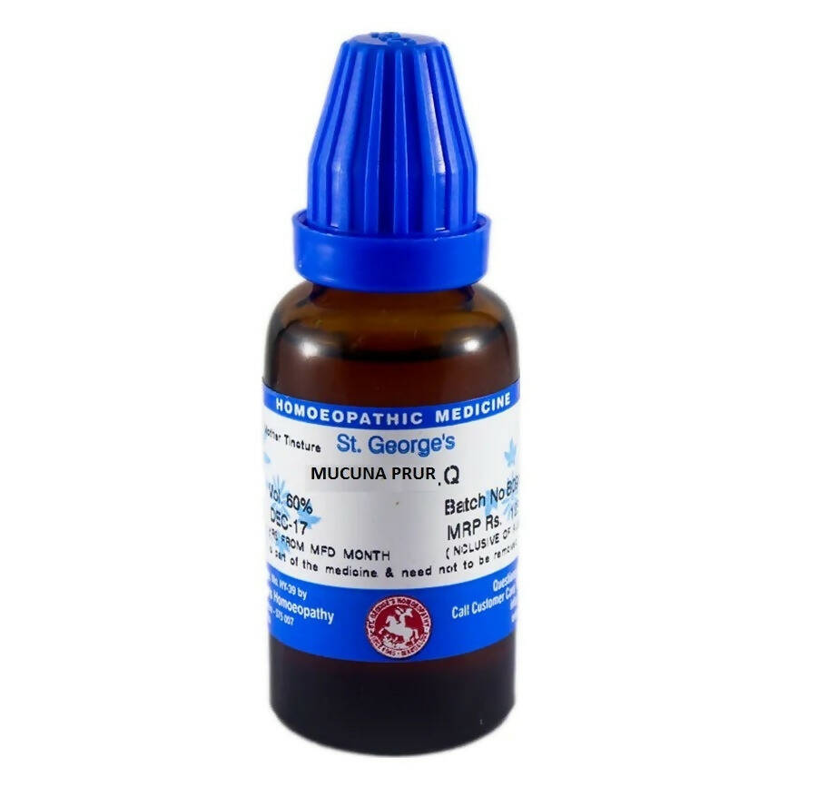 st.-george-is-homeopathy-kapikachhu-mother-tincture-