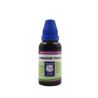 Thumbnail for father-muller-verbascum-thapsus-mother-tincture-