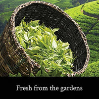 Thumbnail for Teamonk Darjeeling Tapas Oolong Tea Leaves (75 Cups)