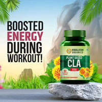 Thumbnail for Himalayan Organics Plant Based CLA 1000 Healthy Weight Management Vegetarian Capsules