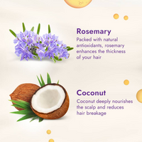Thumbnail for Parachute Advansed Rosemary enriched Coconut Hair Oil