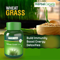 Thumbnail for Herbal Canada Wheat Grass Capsules