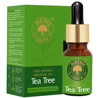 Thumbnail for old-tree-essential-pure-&-natural-tea-tree-essential-oi