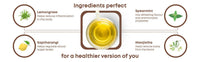 Thumbnail for Shivamastu Ayurveda Sugarwise Herbal Tea