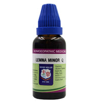 Thumbnail for father-muller-lemna-minor-mother-tincture-