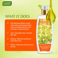 Thumbnail for Vaadi Herbals Amla Shikakai Hair Fall and Damage Control Shampoo & Olive Conditioner