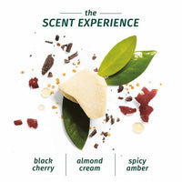 Thumbnail for Herbal Essences Strength Whipped Cocoa Butter Conditioner