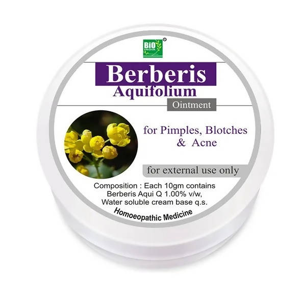 bio-india-homeopathy-berberis-aquifolium-ointmen