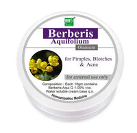 Thumbnail for bio-india-homeopathy-berberis-aquifolium-ointmen