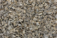 Thumbnail for freshon-organic-sunflower-seed