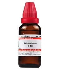 Thumbnail for dr.-willmar-schwabe-india-adrenalinum-dilutio