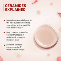 Thumbnail for Plum Hibiscus & Ceramides Smoothing Hair Serum