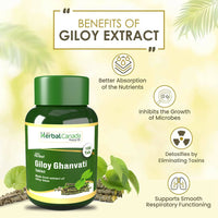 Thumbnail for Herbal Canada Giloy Ghanvati Tablets