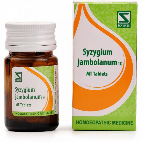dr.-willmar-schwabe-india-syzygium-jambolanum-mt-tablet