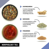 Thumbnail for Teacurry Morphology Tea For Men