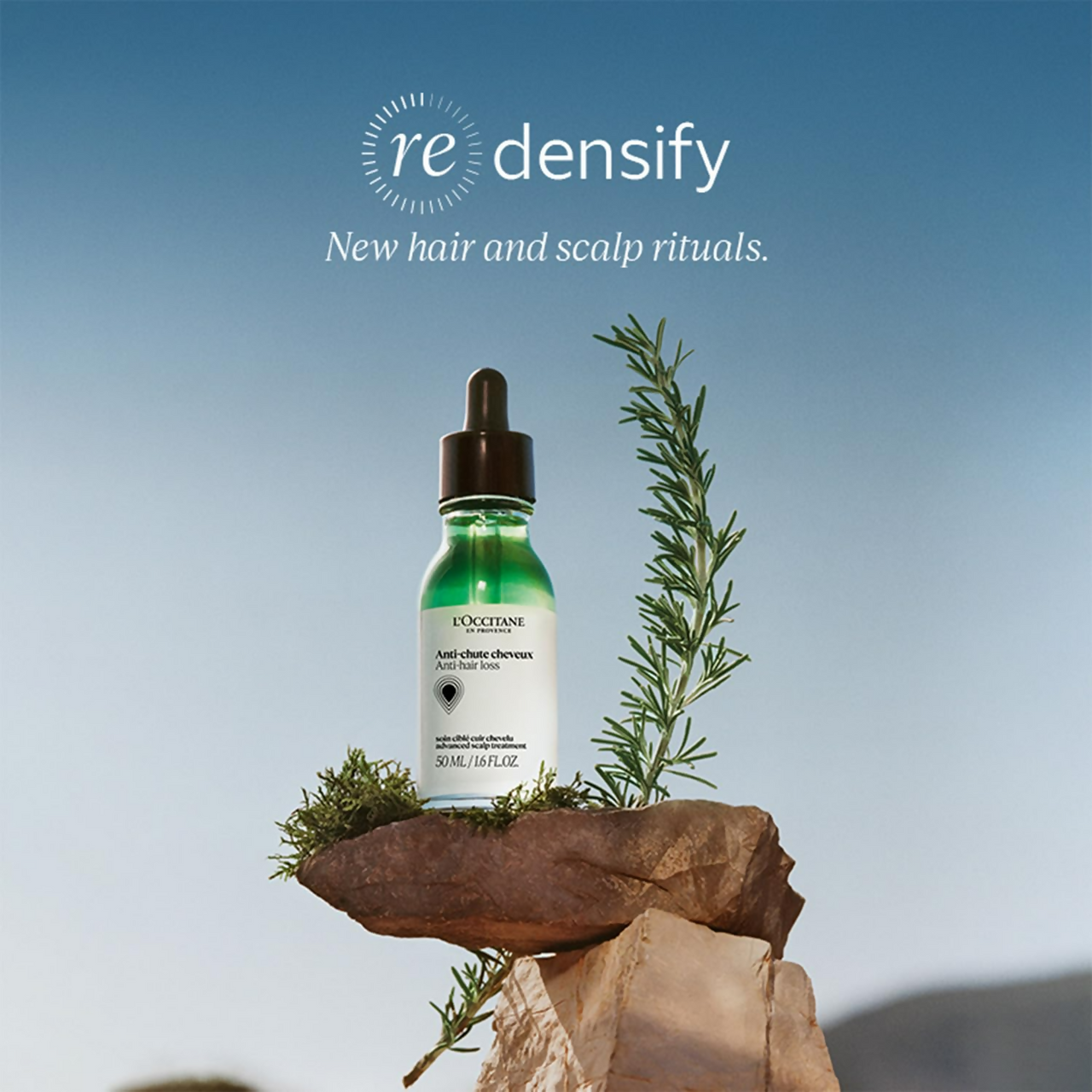 L'Occitane Anti