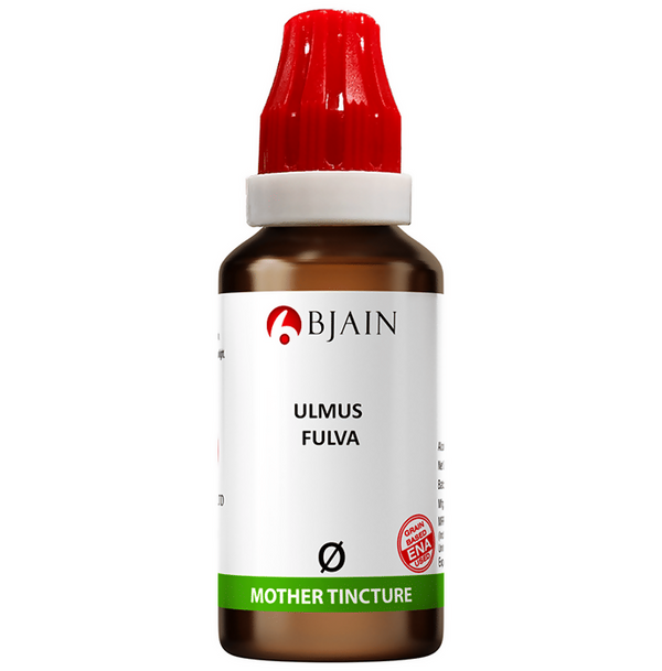 bjain-homeopathy-ulmus-fulva-mother-tincture-