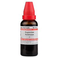 Thumbnail for dr.-willmar-schwabe-india-eupatorium-perfoliatum-mother-tincture-