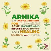 Thumbnail for Ningen Arnica Hair Toner